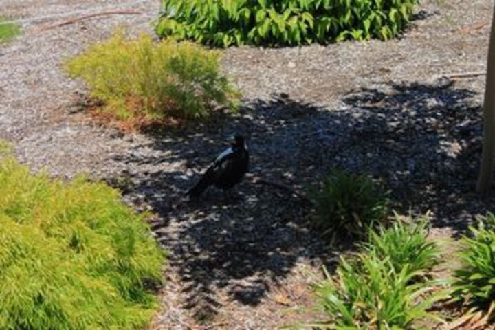 Hotel Exterior 6 of 22