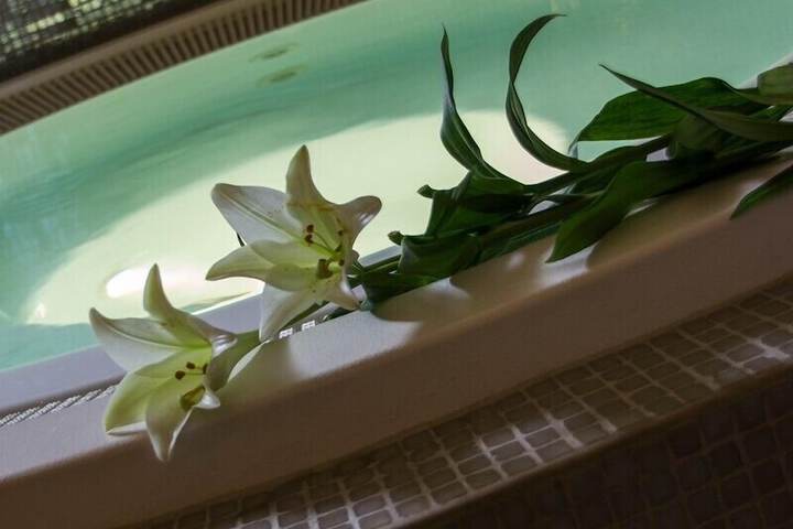 Wellness Treatments
