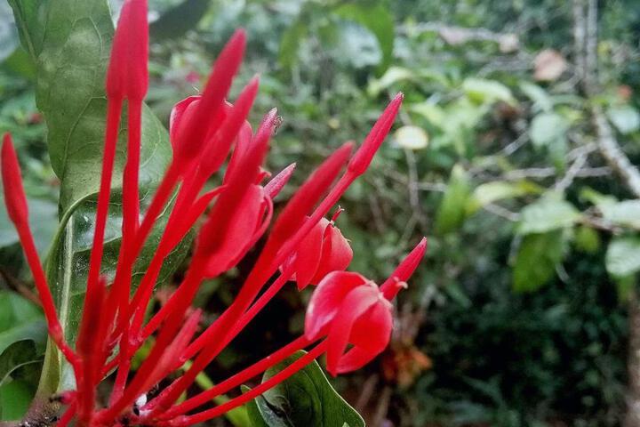 Spa and Wellness Pictures