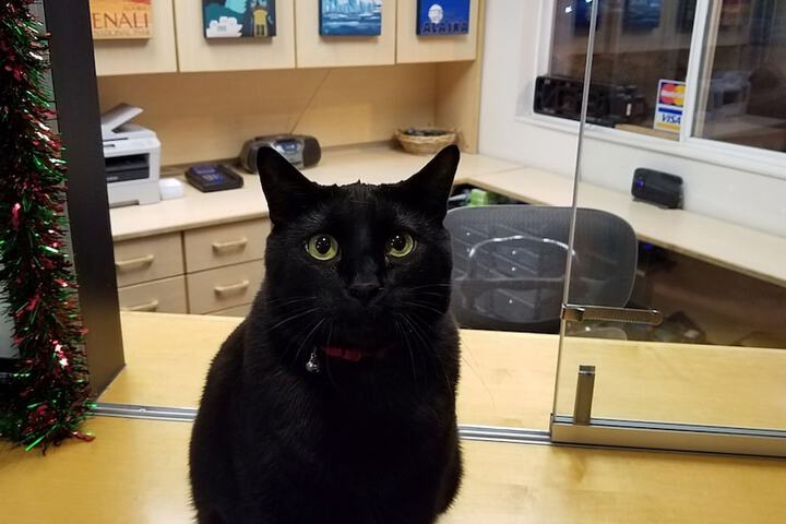 Hotel Interior 5 of 48