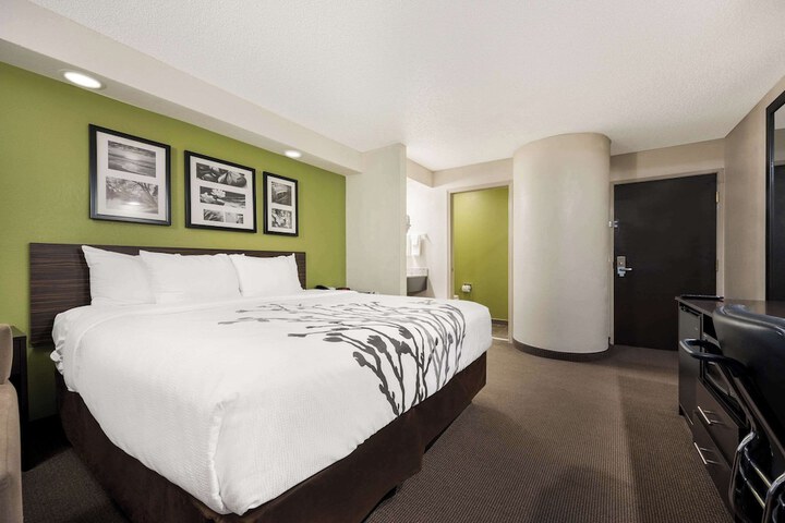 1 King Bed (3 of 6)