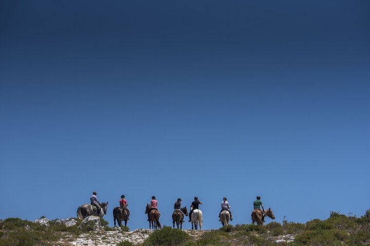 Horseback riding