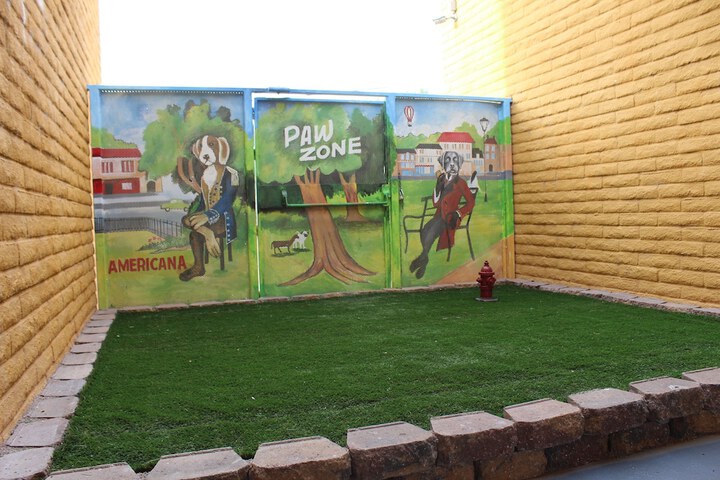 Pet-friendly amenities