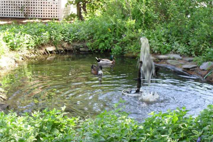 Property Grounds 20 of 35