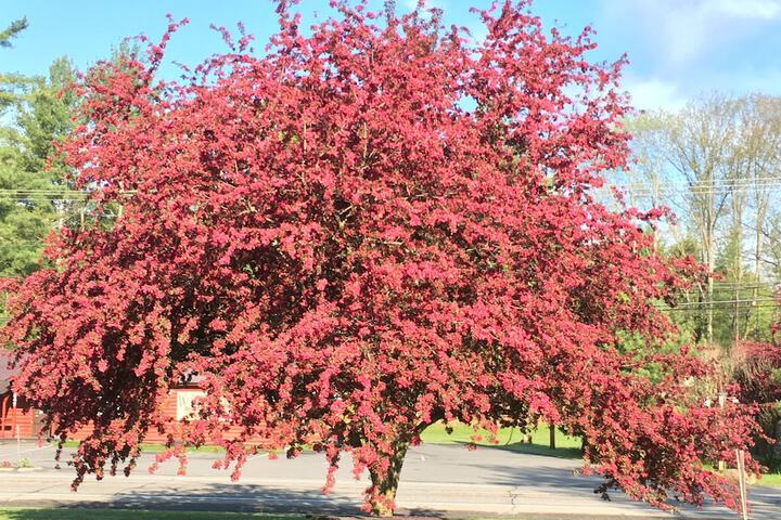 Property Grounds 20 of 37