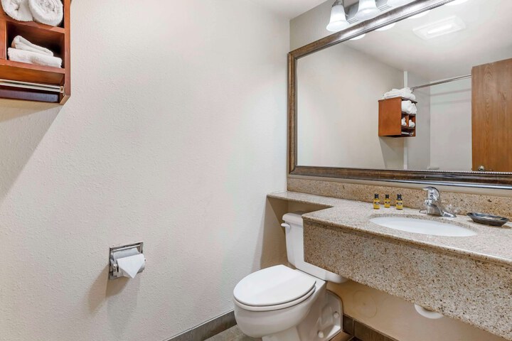 Accessible 1 King Mobility Accessible Communication Assistance Bathtub Full Breakfast (4 of 16)
