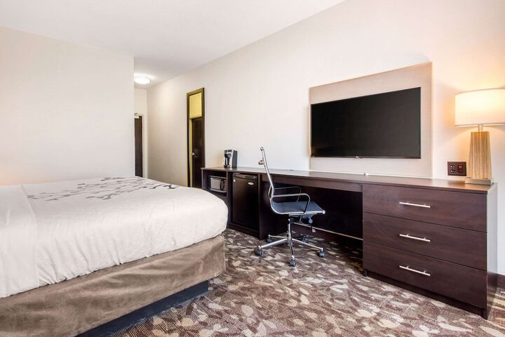 1 King Bed (14 of 17)