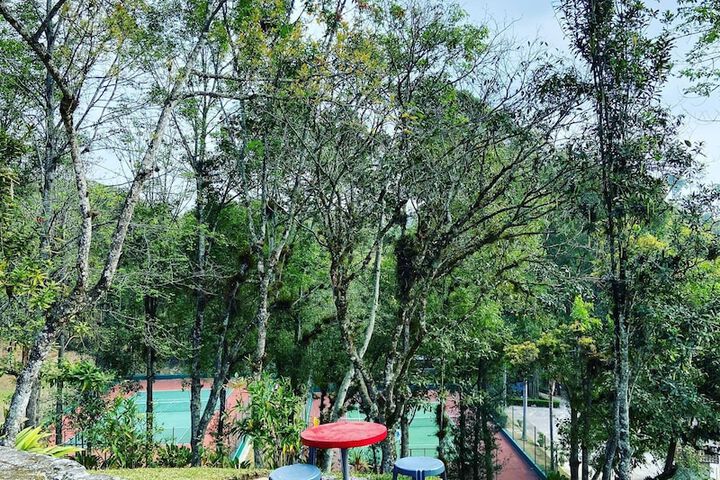 Tennis court
