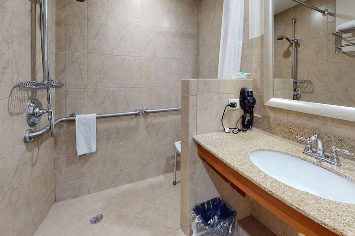 Deluxe King Bed Accessible (17 of 33)