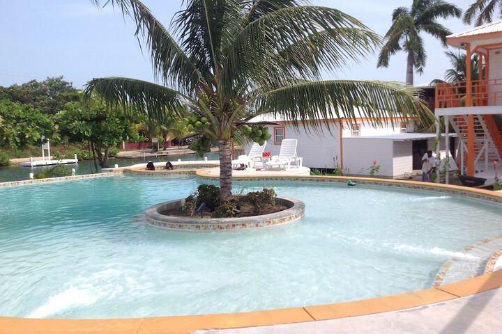Pool 21 of 33