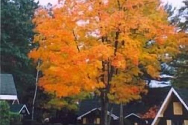 Property Grounds 24 of 42