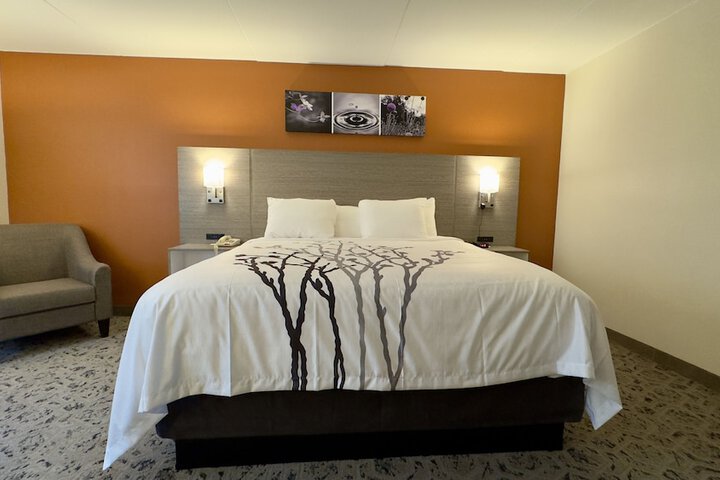 1 King Bed (4 of 7)