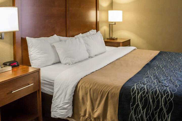 1 King Bed (8 of 12)