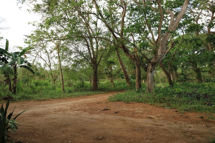 Property Grounds 20 of 31