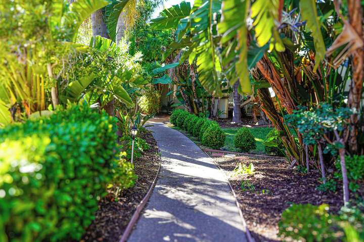 Garden view