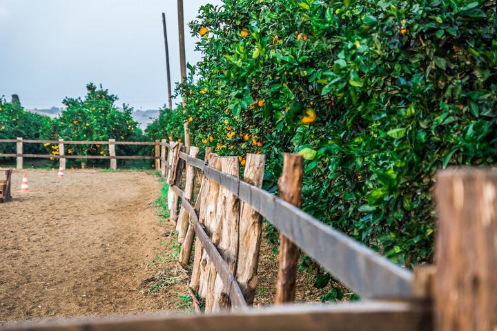 Sports facility