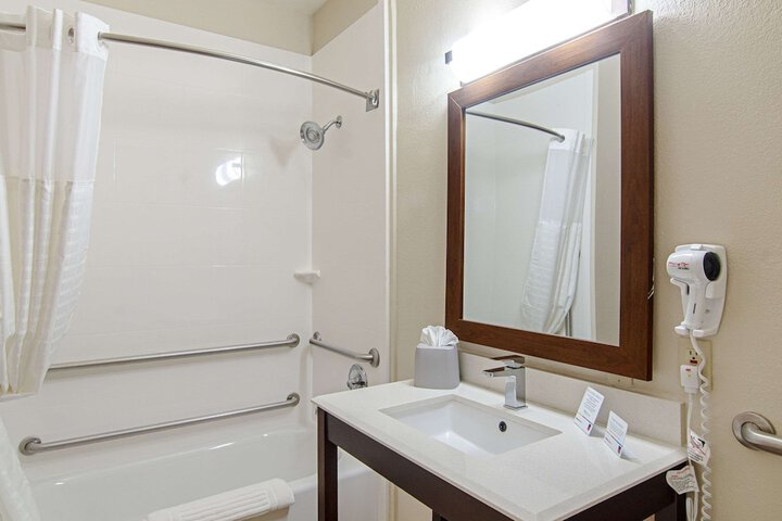 1 King Bed Suite (8 of 23)