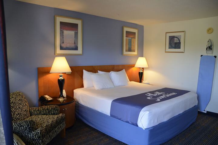 1 King Bed Pet Friendly (50 of 56)