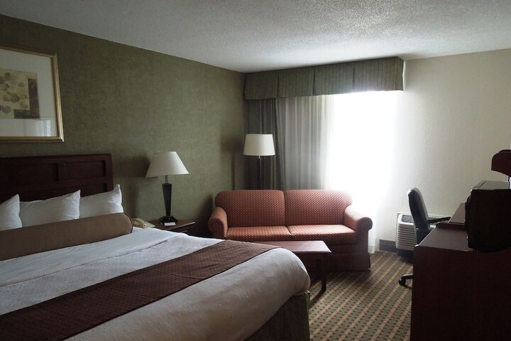 Deluxe King Bed (8 of 13)