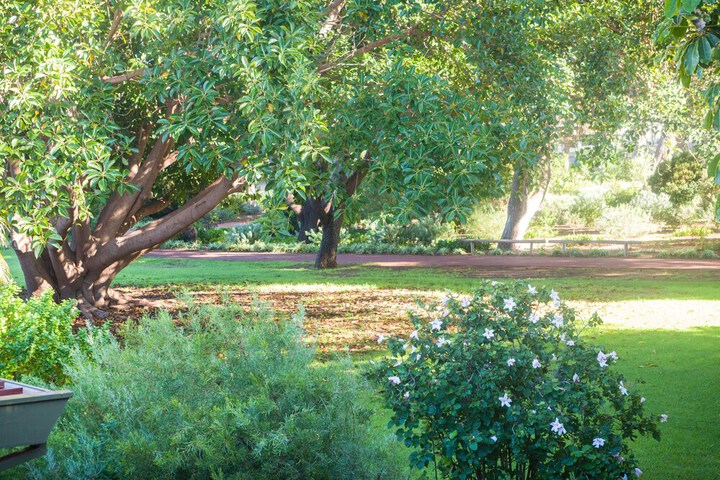 Garden view