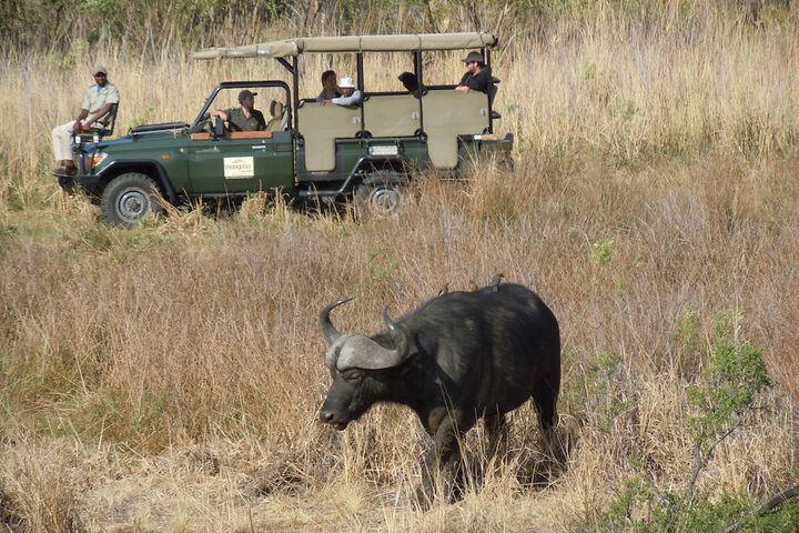 Game drive