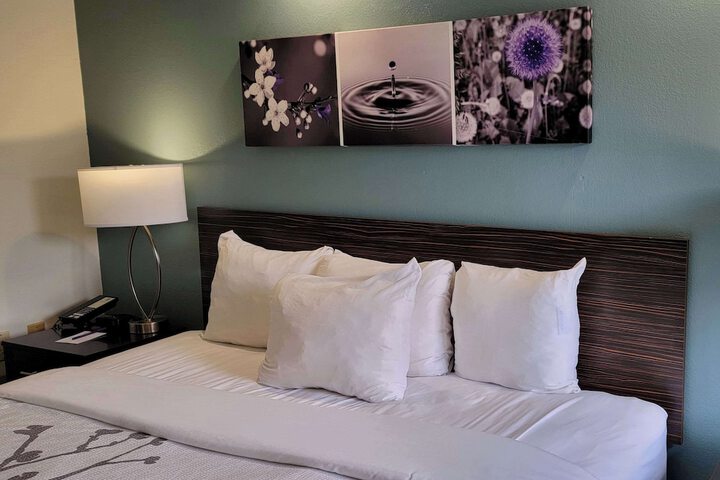 1 King Bed (2 of 6)