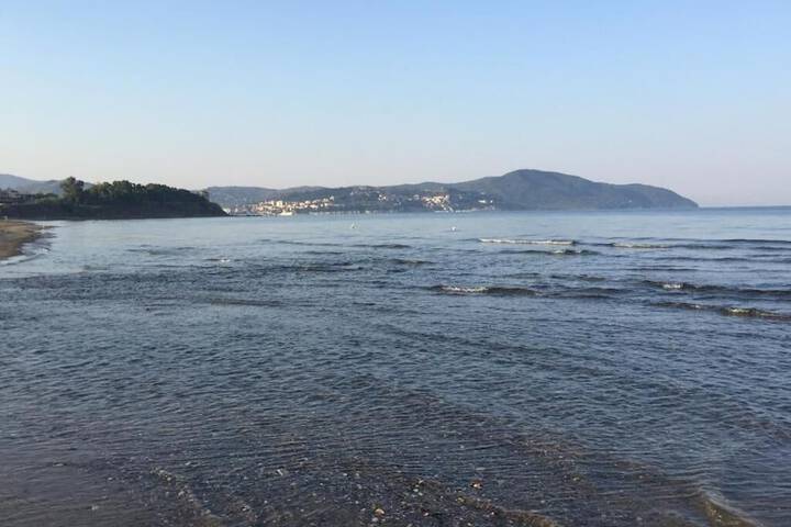 Beach 40 of 57