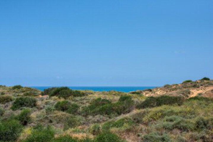 Beach 7 of 21