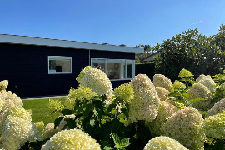 Photo of Wintergroen 11