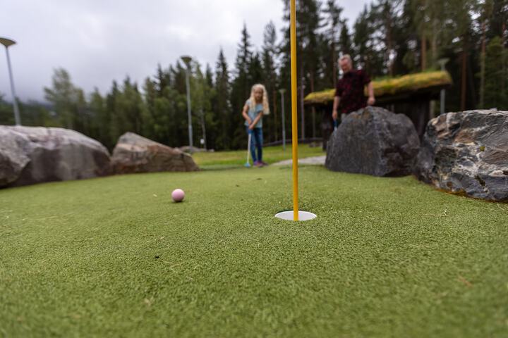 Mini-golf