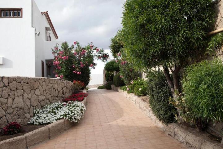 Photo 29