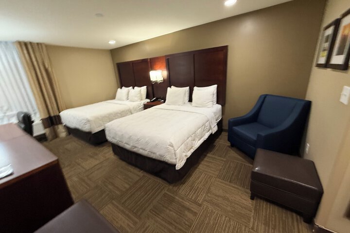 Executive 1 Bedroom Chaise Twin Sofa Bed (2 of 5)