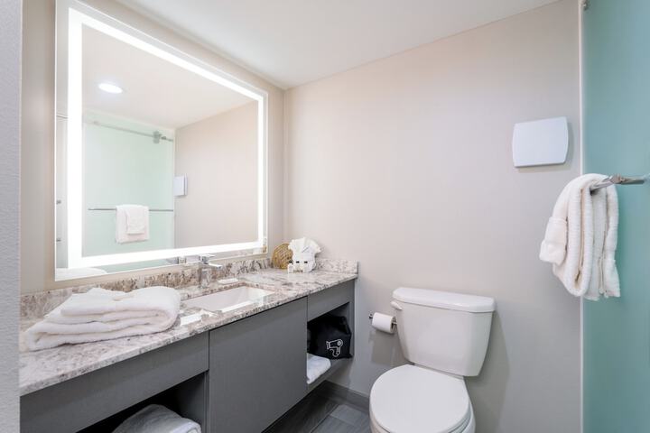 Bathroom Interior Photo