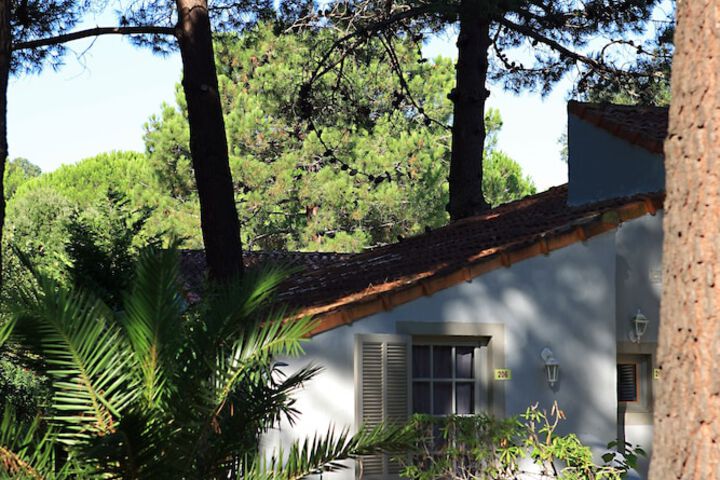 Terrace/Patio 79 of 81