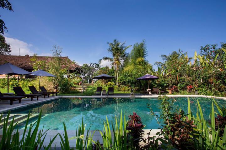 Hotel Pool