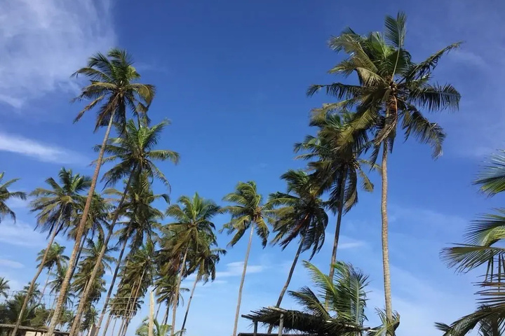 Beach 11 of 15