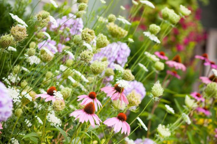 Hotel Exterior 30 of 31