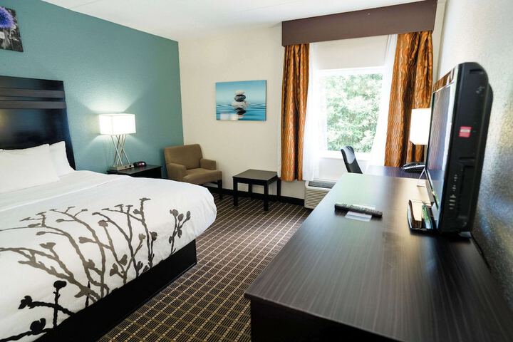 1 King Bed (8 of 40)