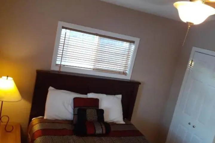 Photo of Tree House