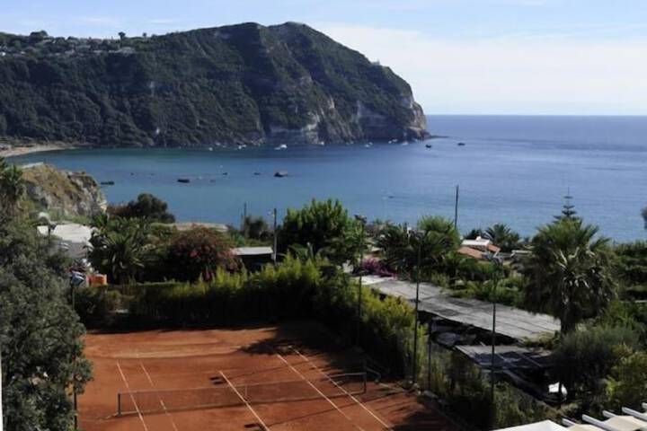 Tennis and Basketball Courts 19 of 36