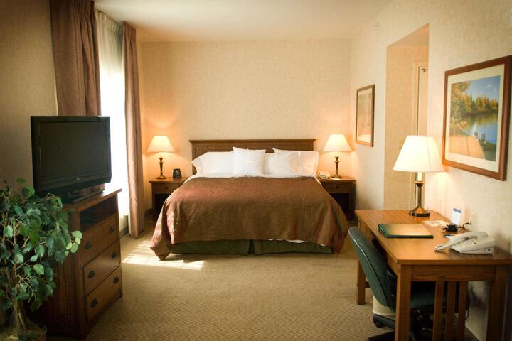 1 King Bed Studio Suite (5 of 21)