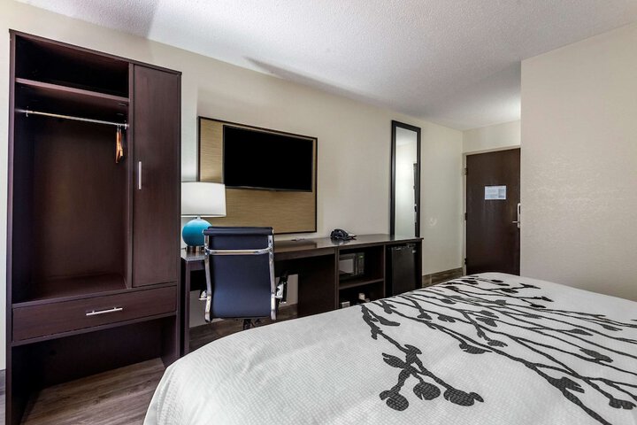 1 King Bed Accessible (2 of 8)