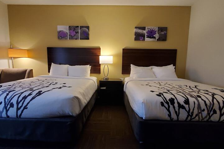 2 Queen Beds (2 of 17)