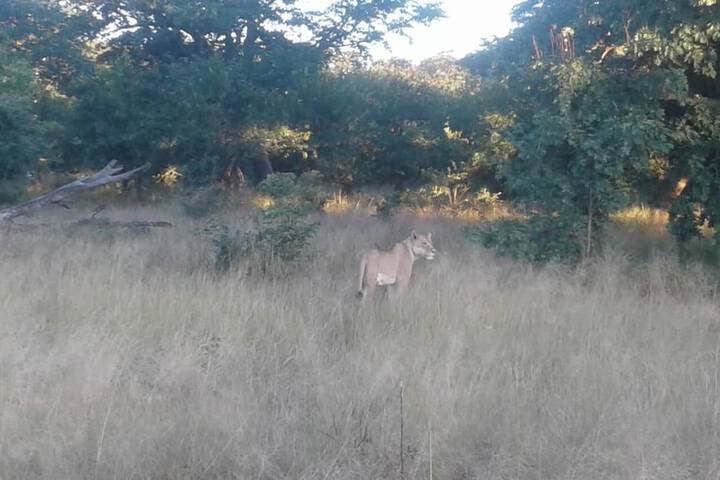 Property Grounds 27 of 36