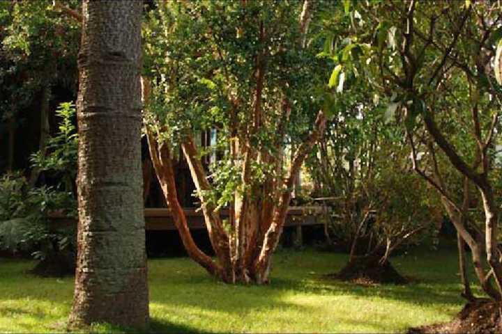 Property Grounds 52 of 61