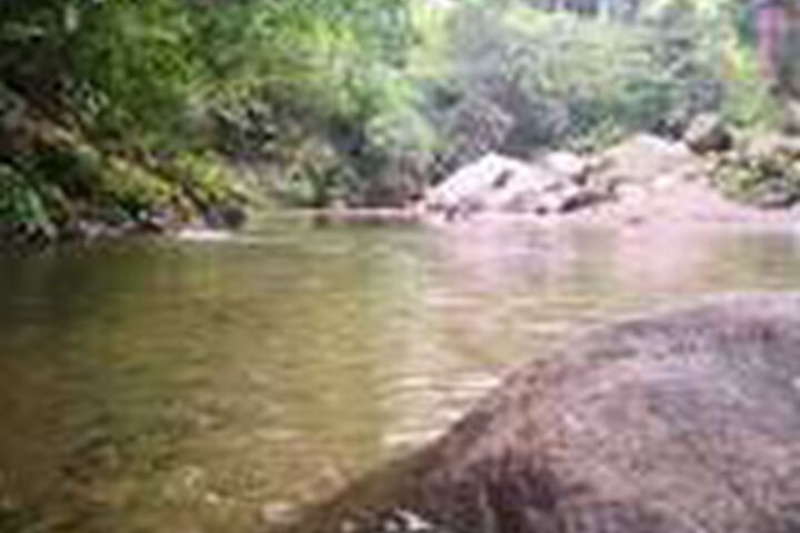 Pool 10 of 33
