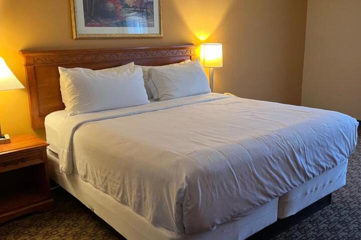 Standard | King Bed (4 of 27)