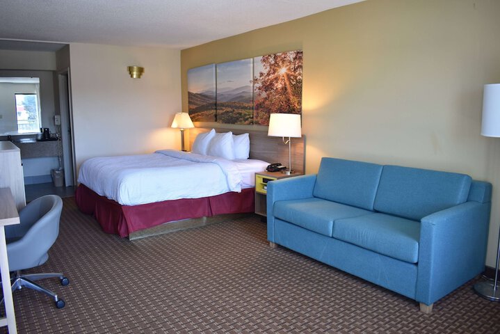 1 King Bed (6 of 14)