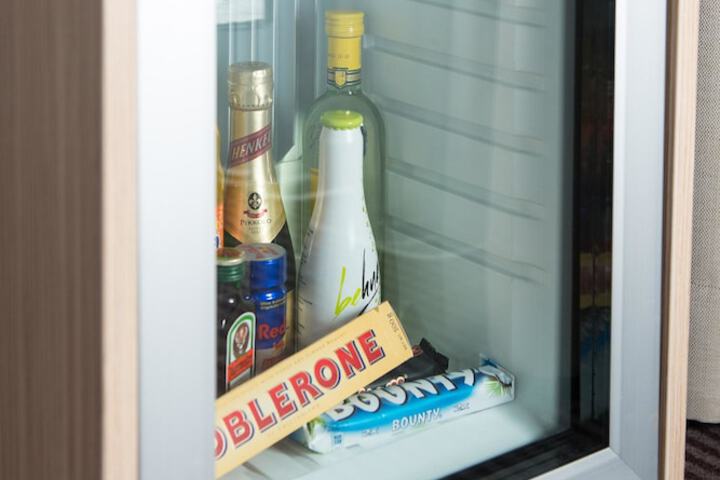 Mini-refrigerator