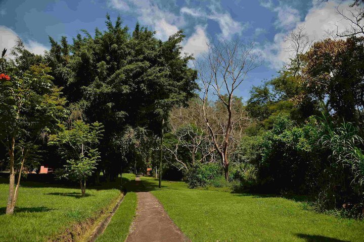 Property Grounds 199 of 223